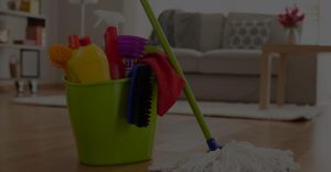 Cleaning Supplies